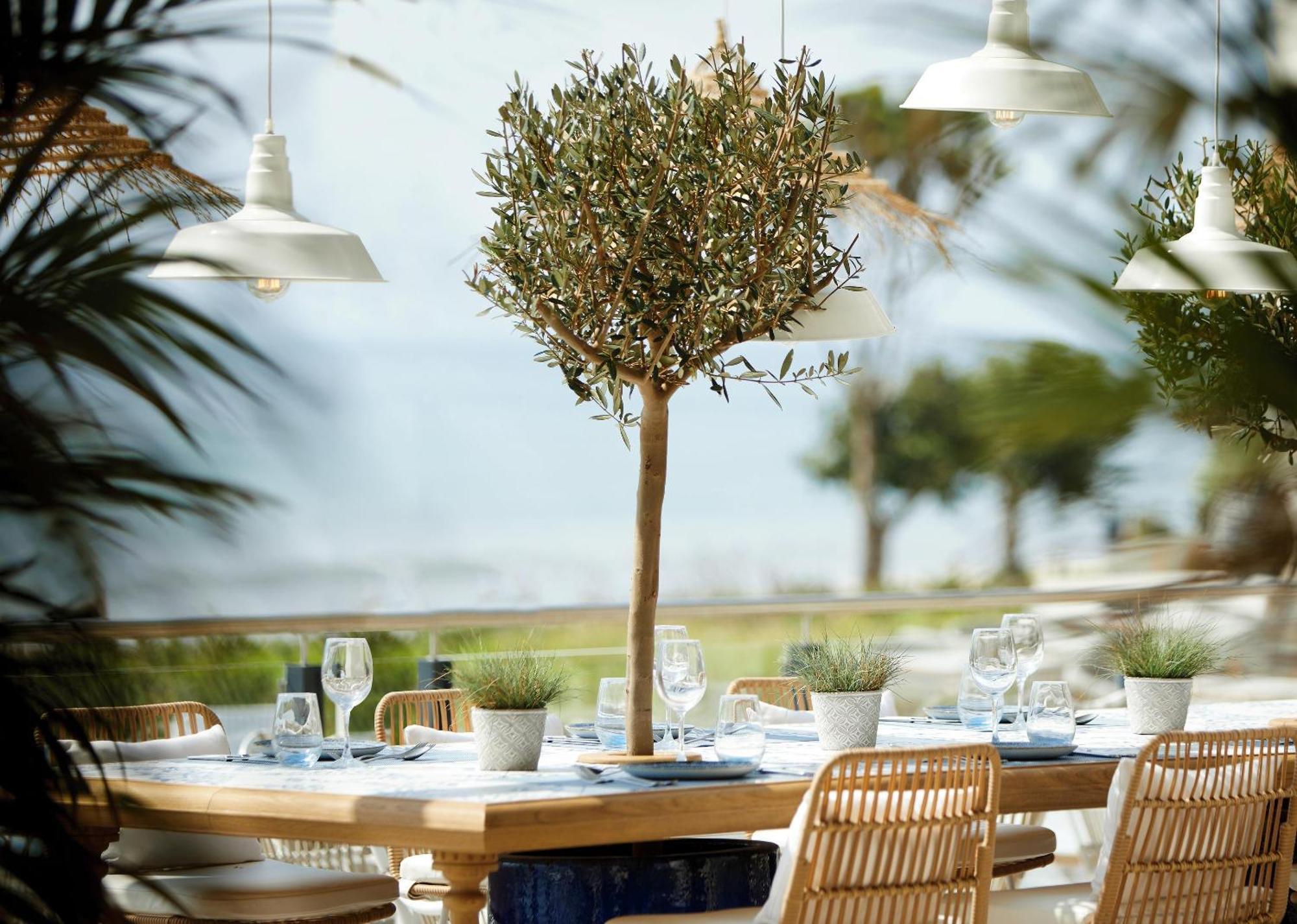 Hotel Ikos Andalusia à Estepona Extérieur photo